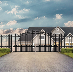 Browse Popular Collections