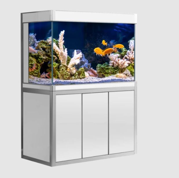 Aqua Dream Silver Edition 135 Gallon Glass Aquarium [AD-1260]