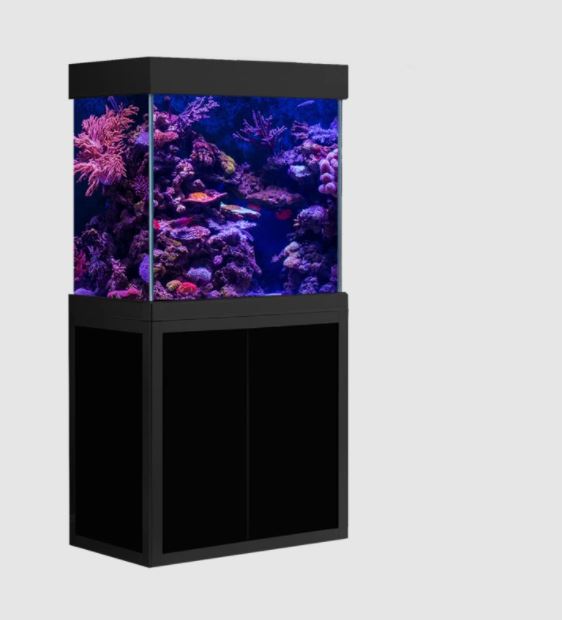 Aqua Dream 100 Gallon Aquarium [AD-1060]