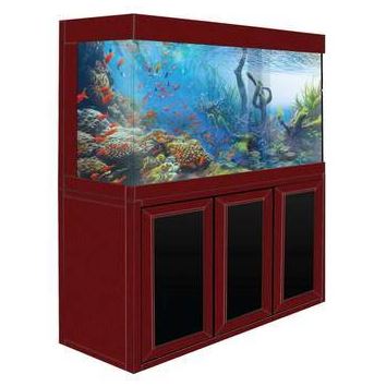 Aqua Dream 175 Gallon Glass Aquarium [AD-1560]